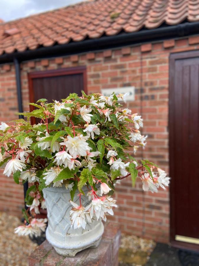 Willow Tree Cottages Newark-on-Trent  Экстерьер фото