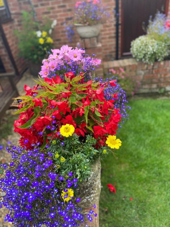 Willow Tree Cottages Newark-on-Trent  Экстерьер фото